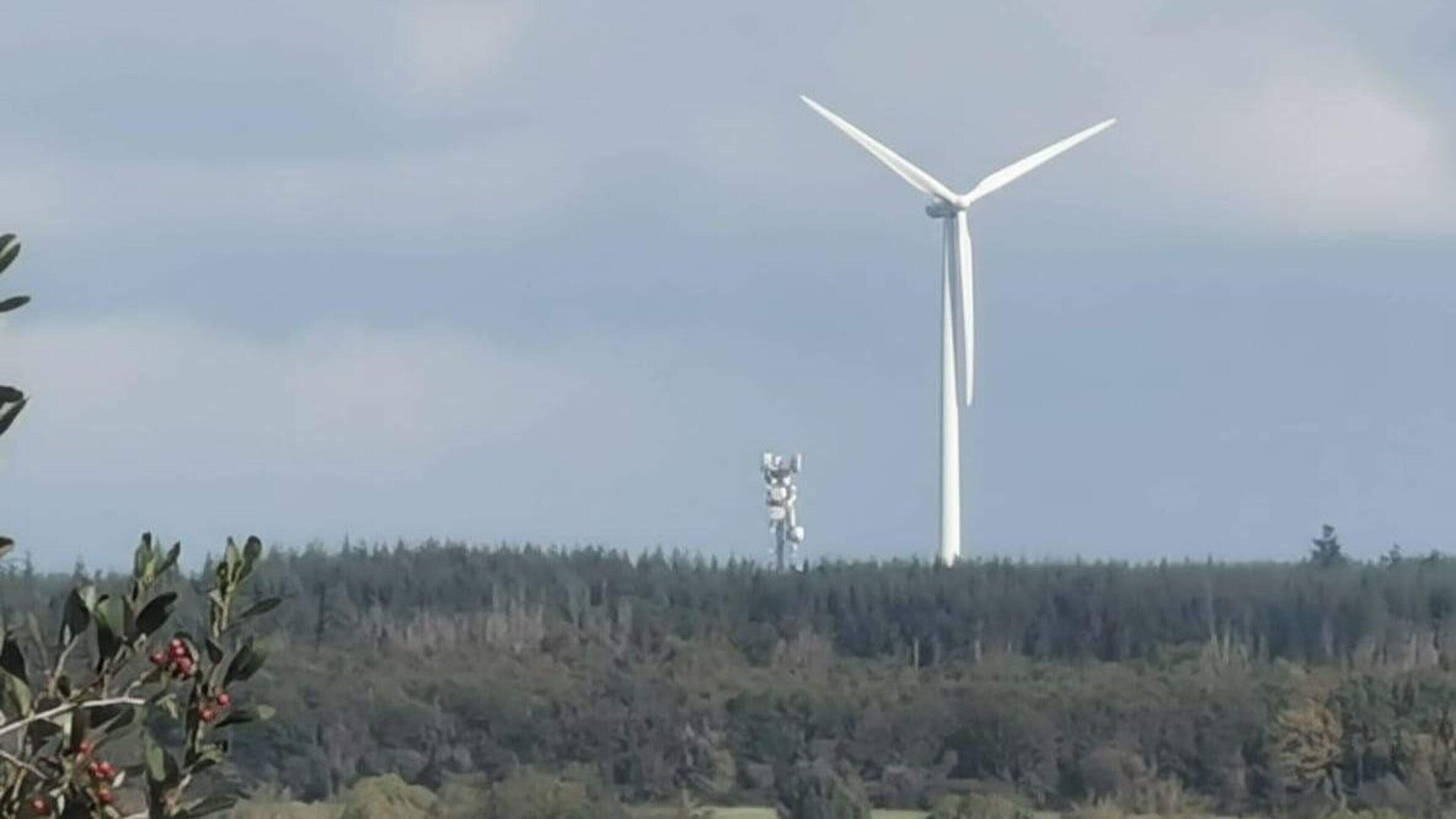 Roscommon group opposing wind farm claims error in date in council letter undermines trust in planning process